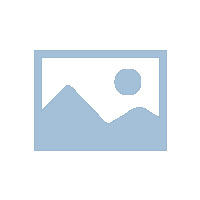 麦达可尔十周年庆典团建暨2025-2026年度工作会议圆满落幕